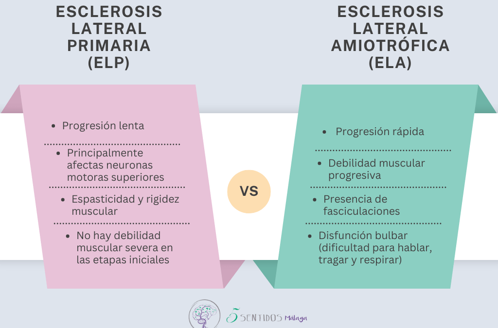 Diferencias entre Esclerosis Lateral Primaria y Esclerosis Lateral Amiotrófica: Rol Crucial de la Fisioterapia