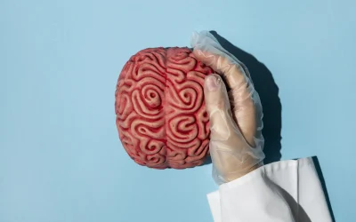 Tratamientos Demencia por Cuerpos de Lewy: El Rol Fundamental de la Fisioterapia Neurológica